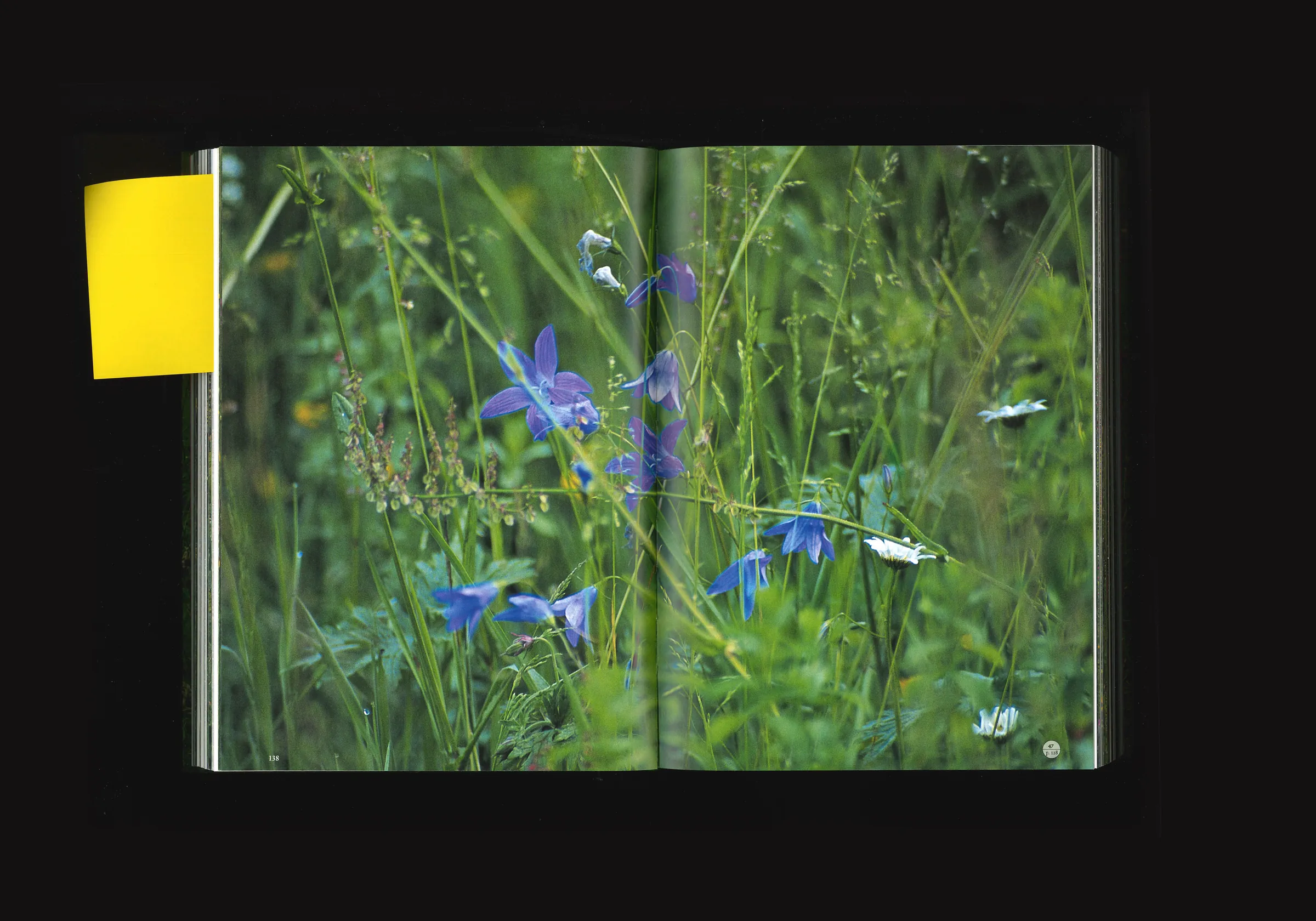 Essay on Gardening, image 6